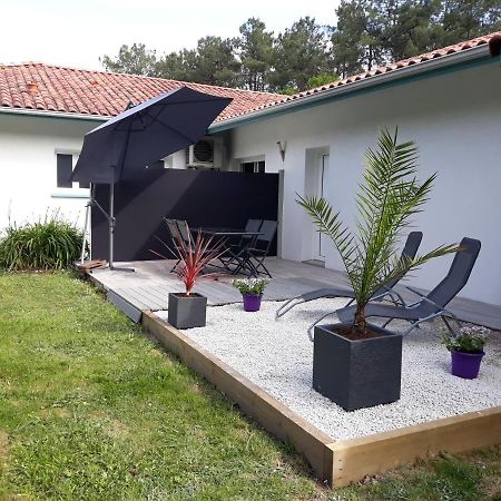 Chambre D'Hotes Du Pin Pey Екстер'єр фото